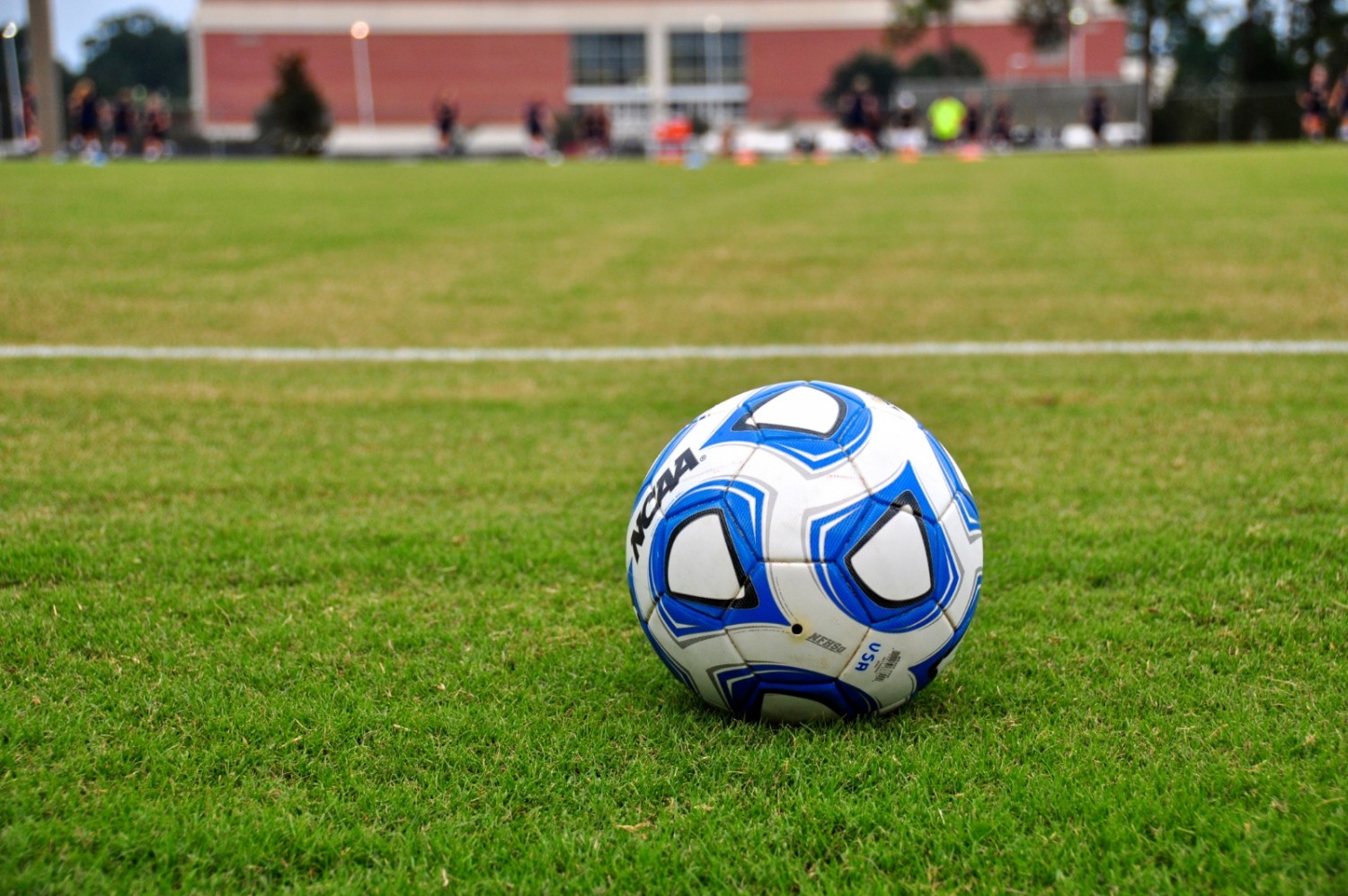 FIFA: What can the investigations really achieve?