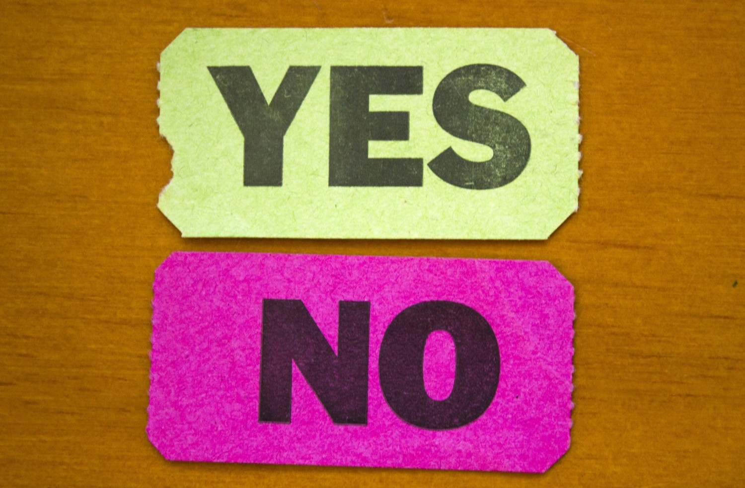 EU referendum – economics, social policy and employment rights