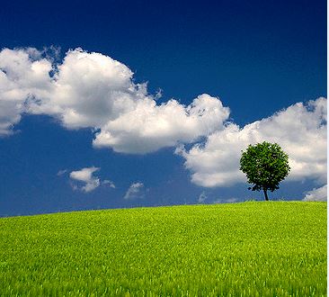 Four ‘green lines’ for Brexit negotiators looking to protect the environment