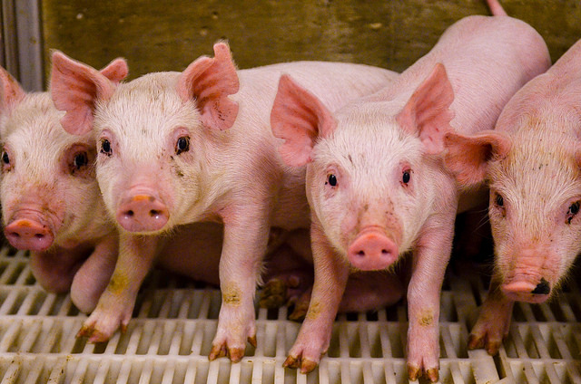 Audits need to leap forward