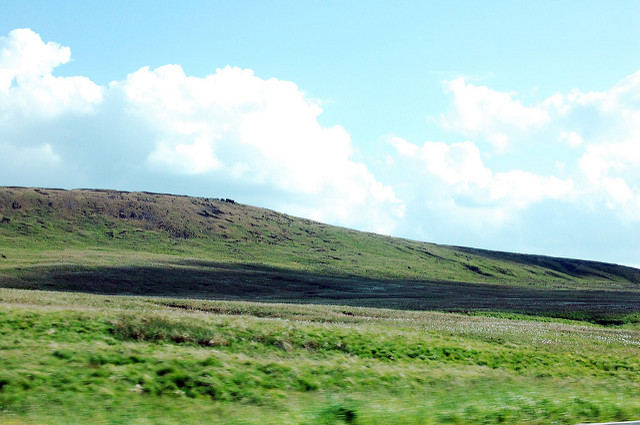 The science of finding buried bodies