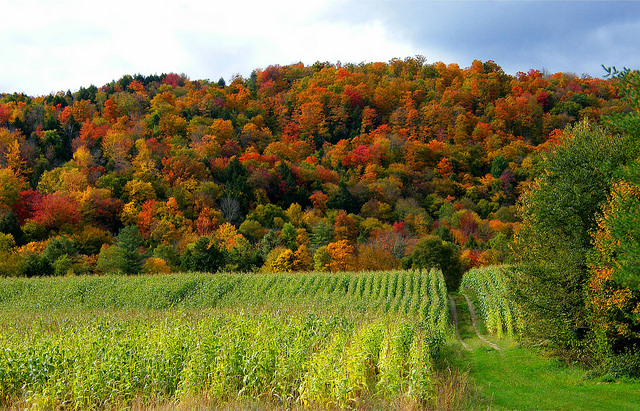 A shared vision on farming