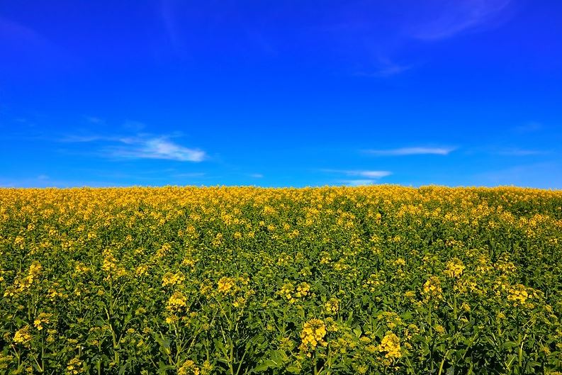 It’s About Time the International Community Approaches Sexual Violence in the Invasion of Ukraine