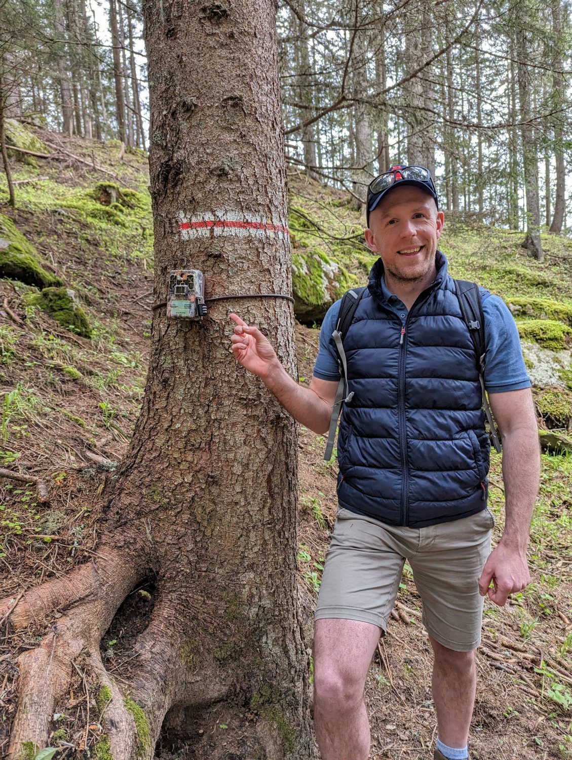 Why we need to listen to farmers’ perspectives on lynx and wolf reintroductions